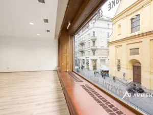 Pronájem obchodního prostoru, Brno, Masarykova, 176 m2