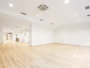 Pronájem obchodního prostoru, Brno, Masarykova, 176 m2