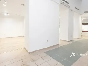 Pronájem obchodního prostoru, Brno, Masarykova, 176 m2