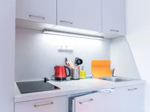 Pronájem bytu 1+kk, Praha - Nusle, Na Jezerce, 21 m2