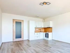 Prodej bytu 1+kk, České Budějovice, Chelčického, 41 m2