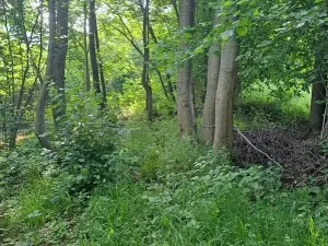 Prodej pozemku, Rožnov pod Radhoštěm, 126 m2