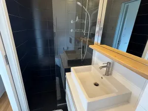 Prodej rodinného domu, Loučná pod Klínovcem, 180 m2