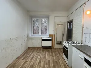 Pronájem bytu 1+1, Brno, Veslařská, 45 m2