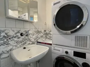 Pronájem bytu 1+1, Brno, Veslařská, 45 m2