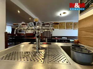 Prodej restaurace, Velké Žernoseky, 438 m2