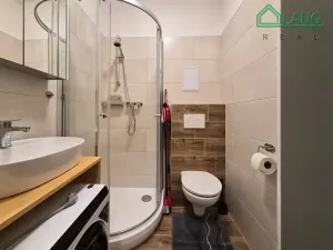 Pronájem bytu 1+kk, Brno, Francouzská, 20 m2