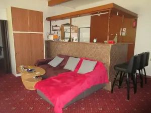 Prodej vícegeneračního domu, Protivín, Mírová, 696 m2