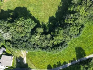 Prodej louky, Křižany, 2663 m2