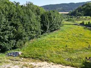 Prodej louky, Křižany, 2663 m2