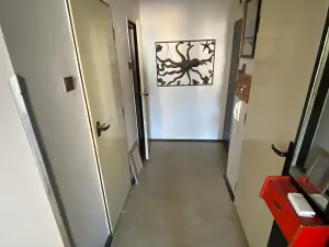 Prodej bytu 2+1, Brno, Plevova, 58 m2