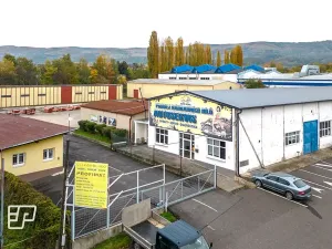 Pronájem obchodního prostoru, Teplice, Zemská, 5600 m2