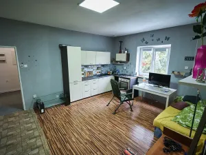 Prodej obchodního prostoru, Bruzovice, 773 m2