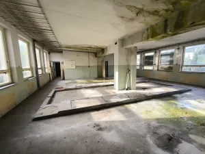 Prodej obchodního prostoru, Zlaté Hory, Na Sídlišti, 313 m2