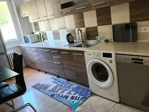 Prodej bytu 3+1, Teplice, Pražská, 73 m2