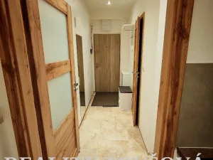 Pronájem bytu 3+kk, Plzeň - Jižní Předměstí, Alešova, 54 m2