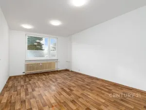 Prodej bytu 1+1, Děčín, Růžová, 35 m2