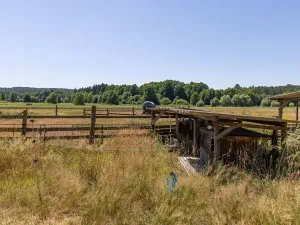 Prodej louky, Doksy, 46765 m2