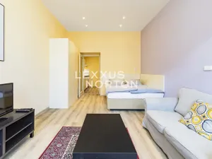 Pronájem bytu 1+1, Praha - Vinohrady, Máchova, 40 m2