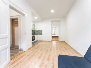 Pronájem bytu 1+1, Praha - Nusle, Oldřichova, 48 m2