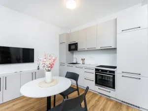 Pronájem bytu 1+kk, Praha - Vysočany, Odkolkova, 36 m2