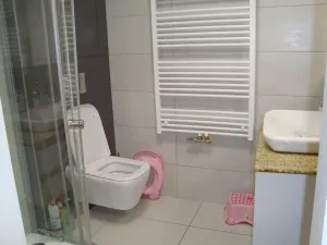 Pronájem bytu 2+kk, Brno, Netroufalky, 57 m2