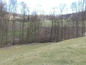 Dražba louky, Heřmanov, 4633 m2