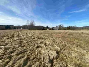 Dražba louky, Aš, 3300 m2