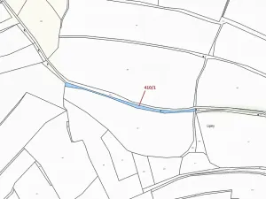 Dražba pozemku, Olešná, 783 m2