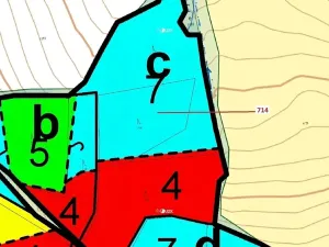 Dražba lesa, Kuřimany, 2850 m2