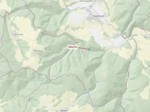 Dražba lesa, Vranová Lhota, 5798 m2