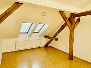 Pronájem bytu 2+kk, Brno, Ptašínského, 53 m2