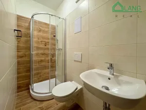 Pronájem bytu 1+kk, Brno, Francouzská, 22 m2