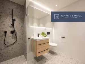 Pronájem bytu 1+kk, Brno, Francouzská, 26 m2