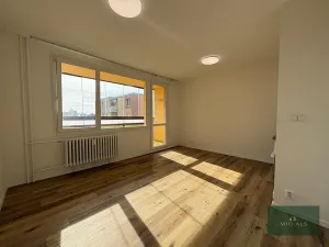 Pronájem bytu 1+kk, Plzeň, alej Svobody, 34 m2