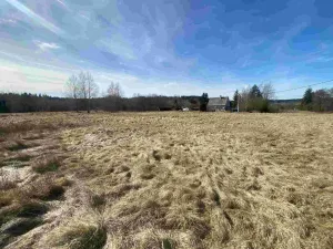 Prodej pozemku, Aš - Nový Žďár, 3300 m2