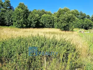 Prodej louky, Trutnov - Babí, 6930 m2