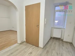 Pronájem bytu 1+1, Prostějov, Šafaříkova, 40 m2