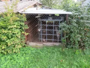 Dražba zahrady, Dobruška, 294 m2