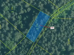 Dražba lesa, Kuřimany, 713 m2