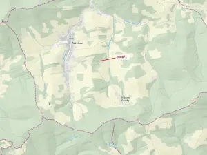 Dražba lesa, Zděchov, 481 m2