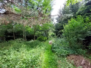 Prodej zahrady, Praha - Sedlec, 3200 m2