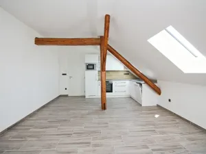 Pronájem bytu 1+kk, Kuřimská Nová Ves, 42 m2