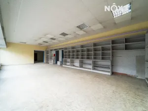 Prodej obchodního prostoru, Orlová, Petra Cingra, 300 m2