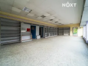 Prodej obchodního prostoru, Orlová, Petra Cingra, 300 m2