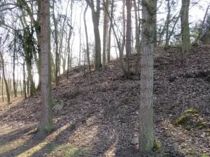 Prodej lesa, Čerčany, 394 m2