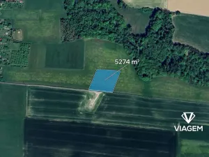Prodej pole, Závišice, 5274 m2