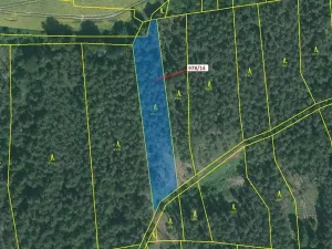 Dražba lesa, Milavče, 2762 m2