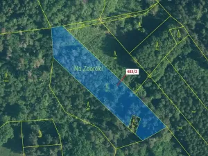 Dražba lesa, Zavlekov, 2895 m2