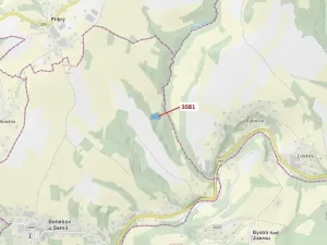 Dražba lesa, Benešov u Semil, 6213 m2